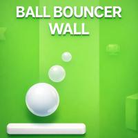 Ball Bouncer Wall